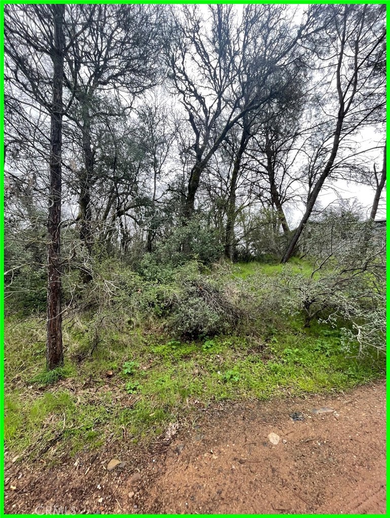 15604 35th Avenue Clearlake, CA 95422 - Photo 2 of 9 a view of a garden with a tree