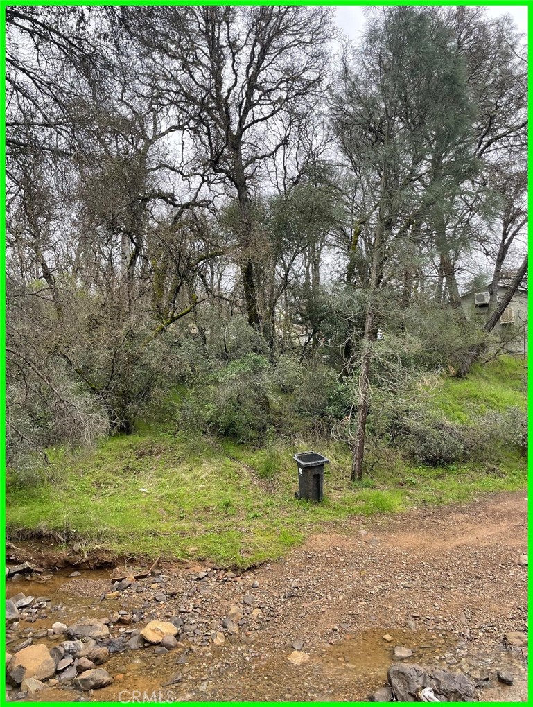 15604 35th Avenue Clearlake, CA 95422 - Photo 4 of 9 a view of a yard with a tree