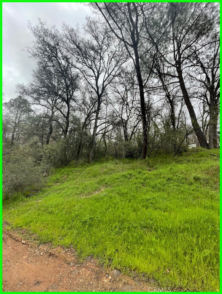 15604 35th Avenue Clearlake, CA 95422 - Photo 5 of 9 a view of a garden
