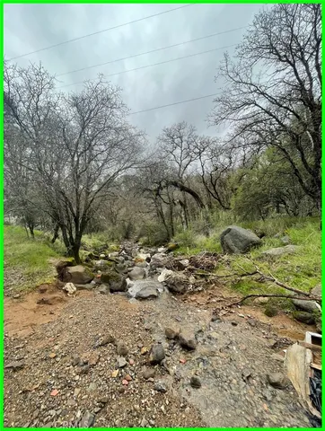 a view of a dry yard with trees