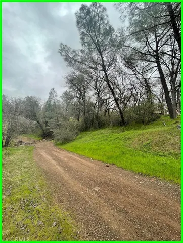 a view of a yard with a house