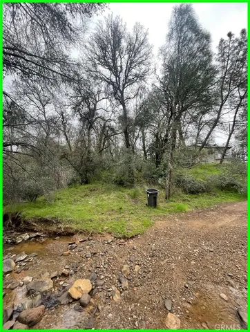 a big yard with lots of green space