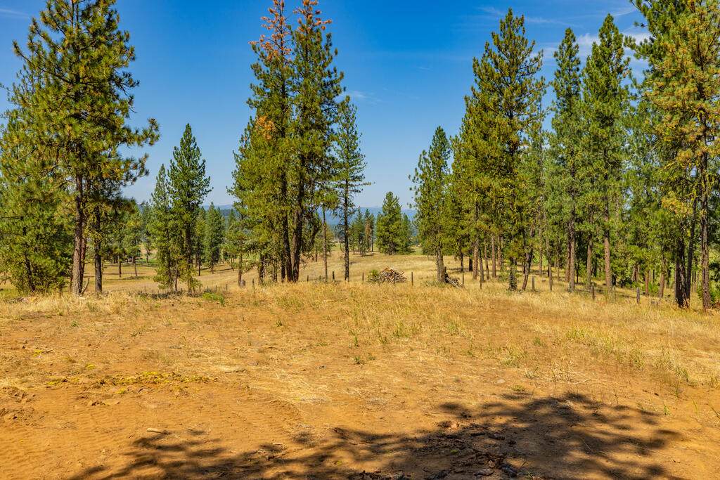 Lot 10 Timber Ridge Drive, Unit 10 New Meadows, ID 83654 - Photo 8 of 20 Gallery Image 8