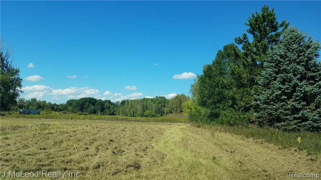 Parcel B Parcel B Murphy Lake Road Millington, MI 48746 - Photo 1 of 1