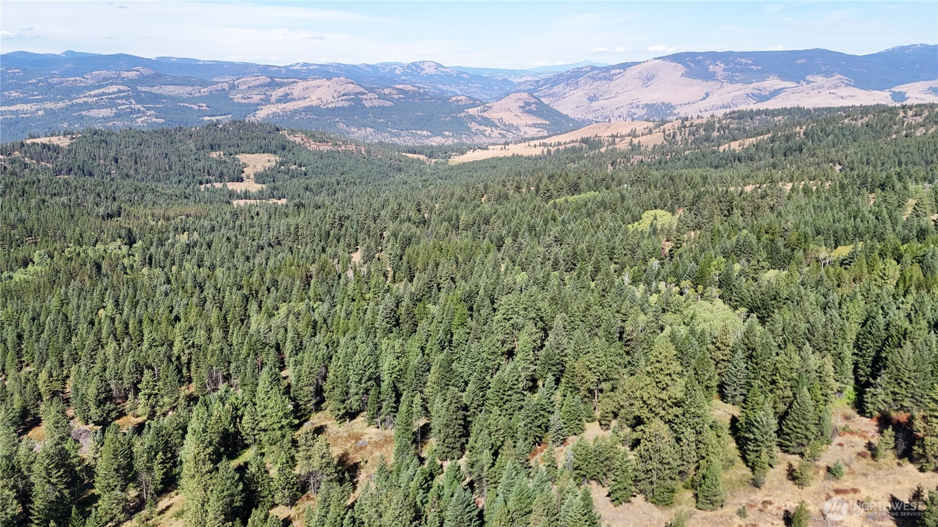 0 Sleepy Hollow Road Curlew, WA 99118 - Photo 23 of 39 Gallery Image 23