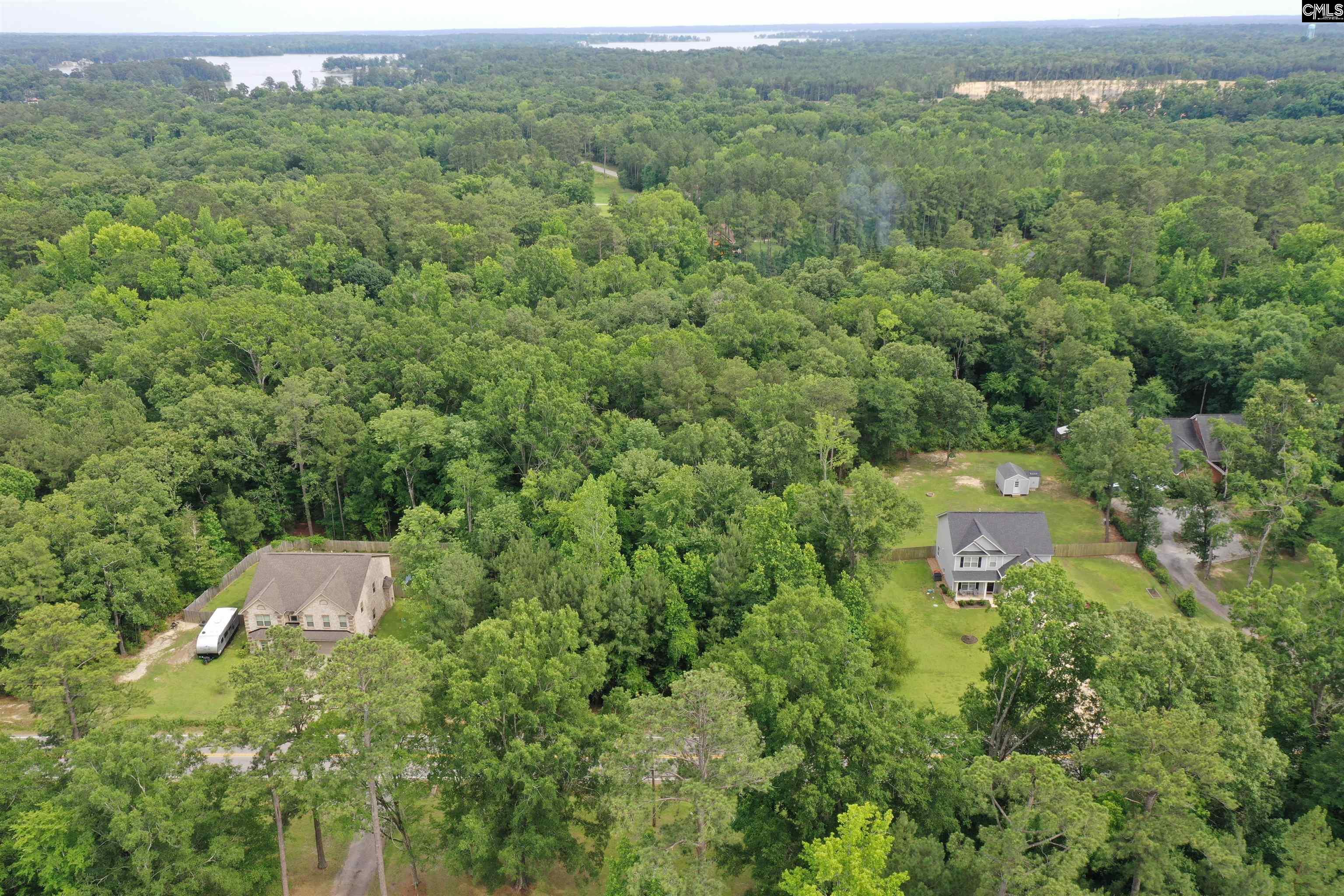 743 Amicks Ferry Road Chapin, SC 29036 - Photo 4 of 11