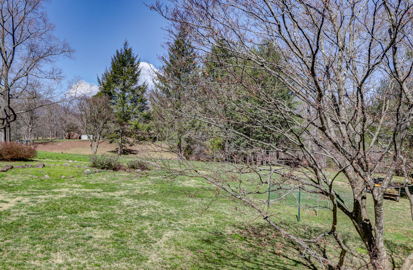 1306 Gills Road Bedford, VA 24523 - Photo 18 of 65 a backyard of a house with lots of green space
