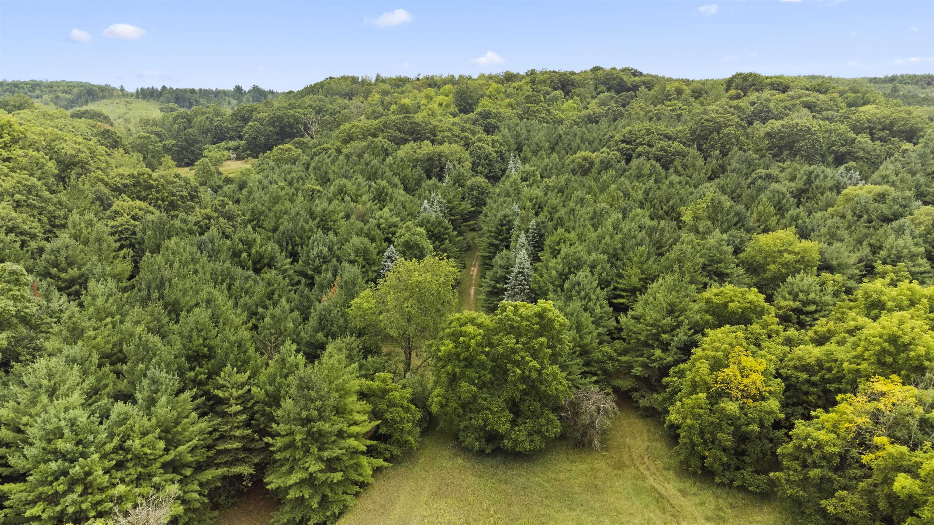 9 9 Mile Road Kingsley, MI 49649 - Photo 6 of 66