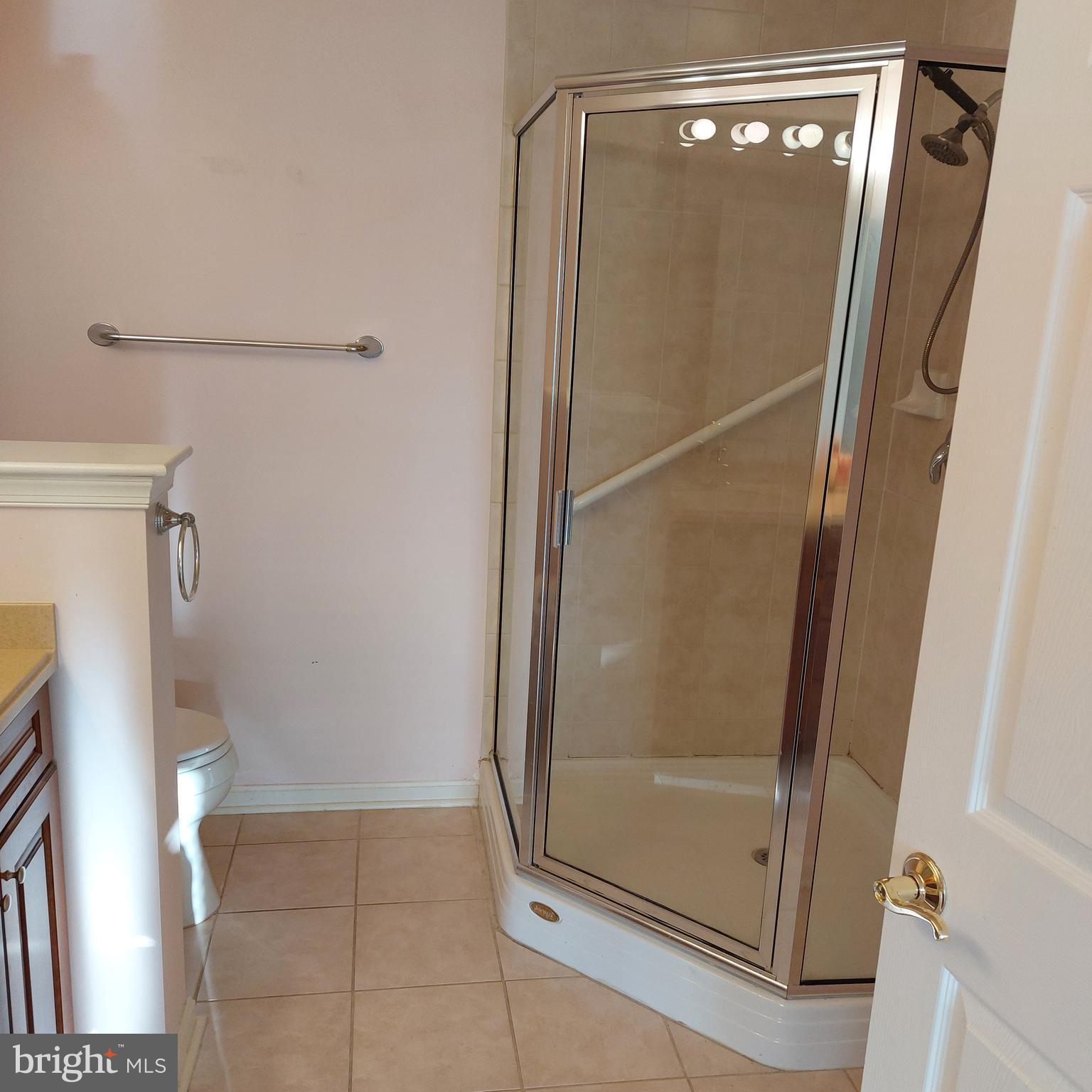 12251 Roundwood Road, Unit 807 Lutherville-Timonium, MD 21093 - Photo 12 of 23 Primary shower