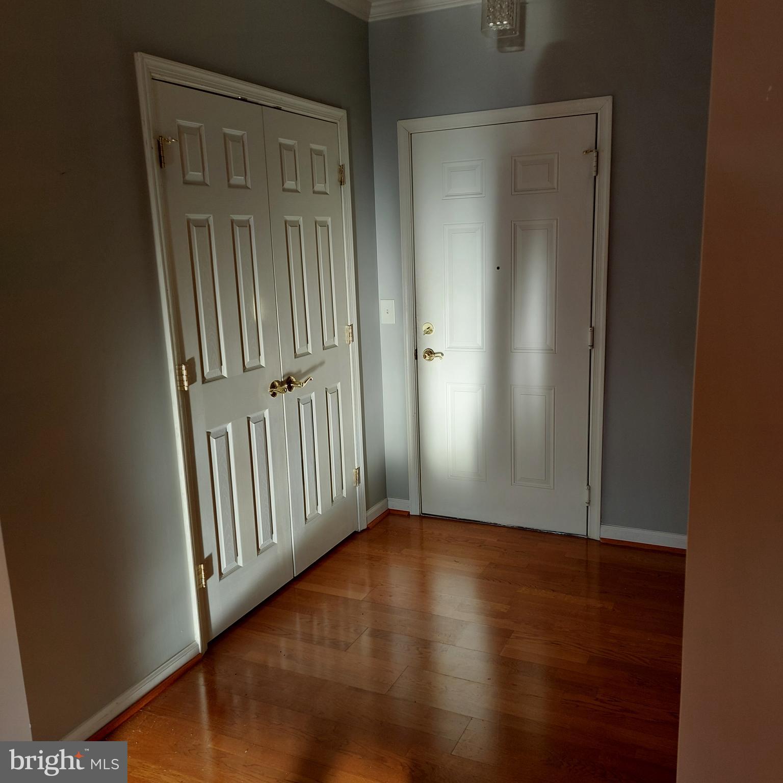 12251 Roundwood Road, Unit 807 Lutherville-Timonium, MD 21093 - Photo 4 of 23 Foyer & Closet