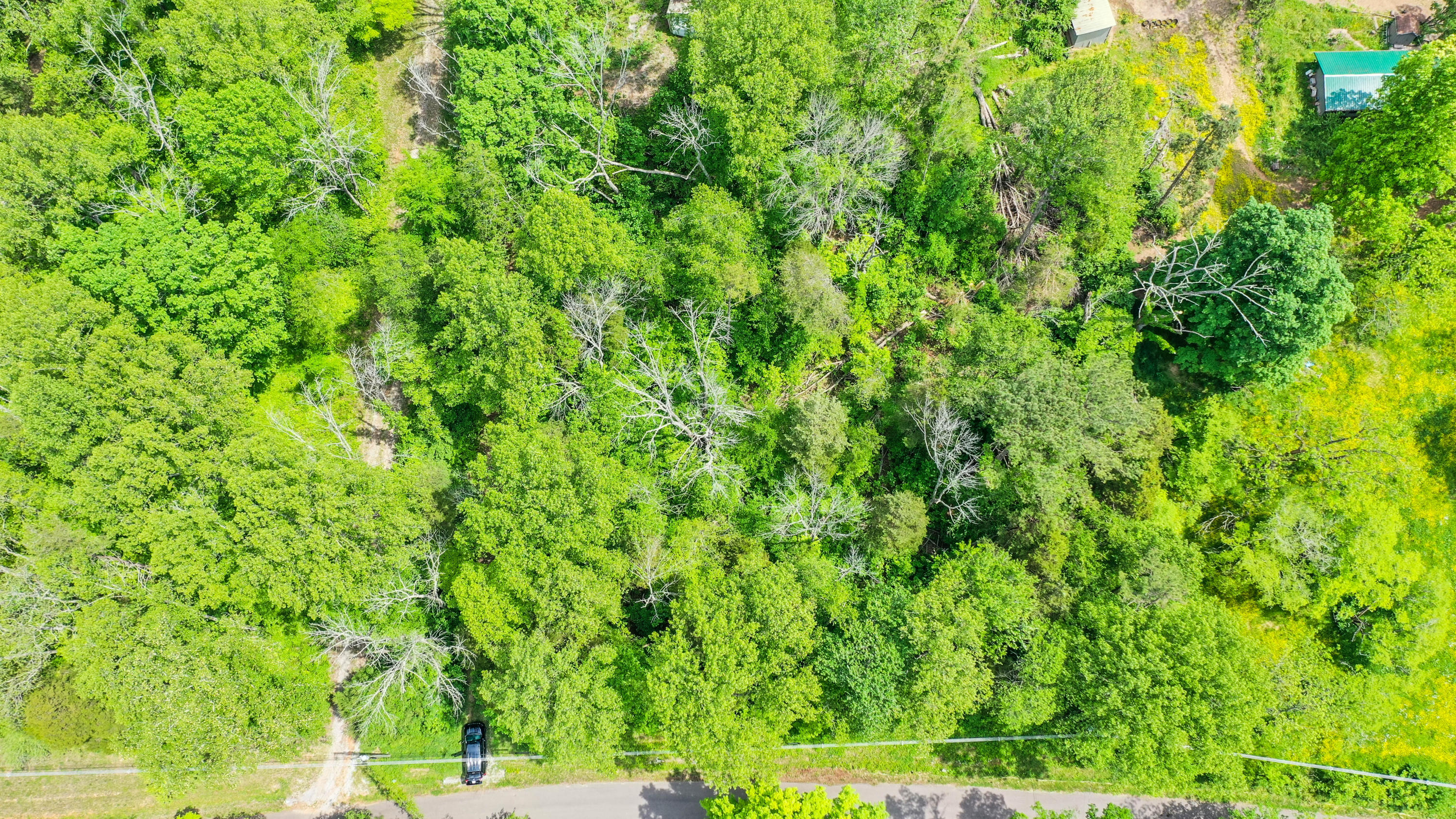 Persimmon Road Andersonville, TN 37705 - Photo 3 of 7 DJI_0287