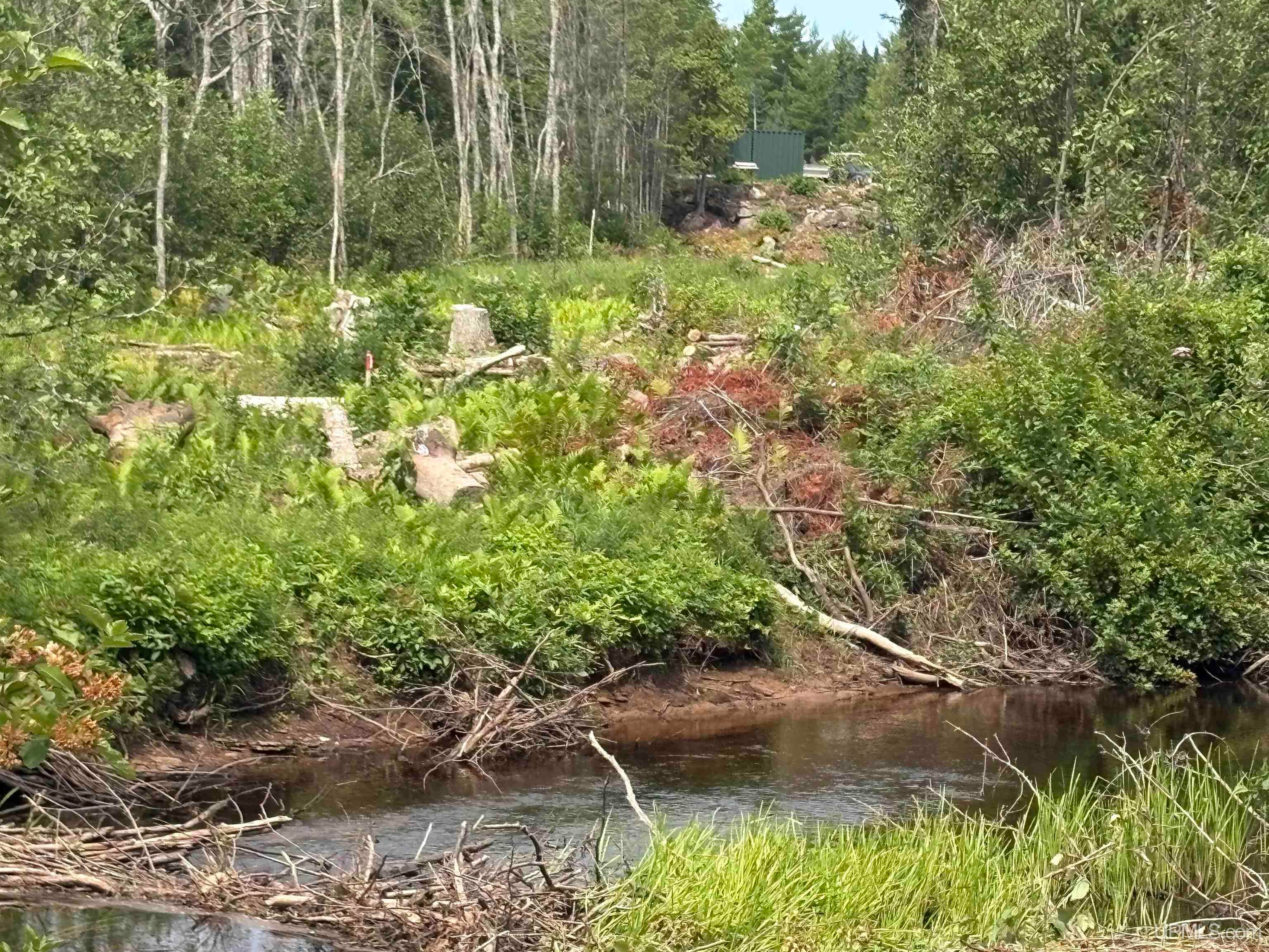 River 80-e Of North Pointe Road Deerton, MI 49822 - Photo 3 of 19 Gallery Image 3