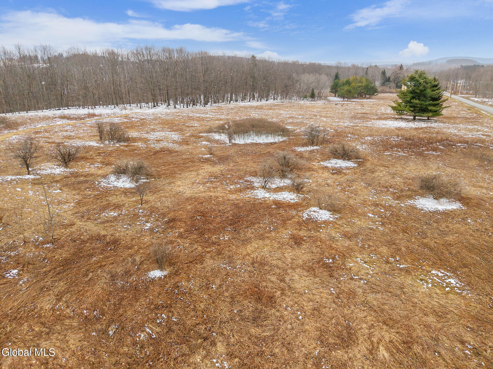 184 Beechwood Road Sharon Springs, NY 13459 - Photo 15 of 24 15-184BeechwoodRd_15