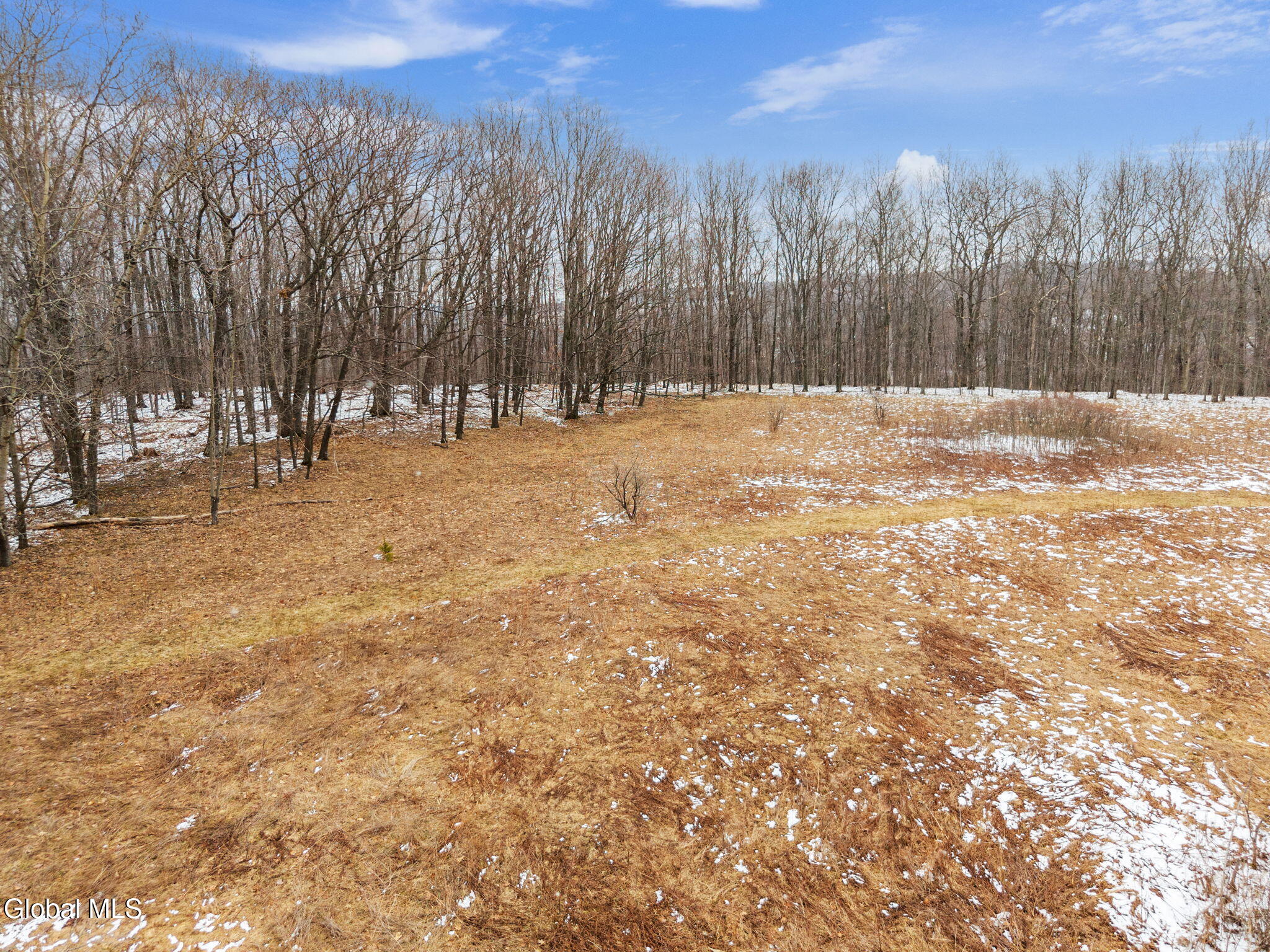 184 Beechwood Road Sharon Springs, NY 13459 - Photo 16 of 24 16-184BeechwoodRd_16