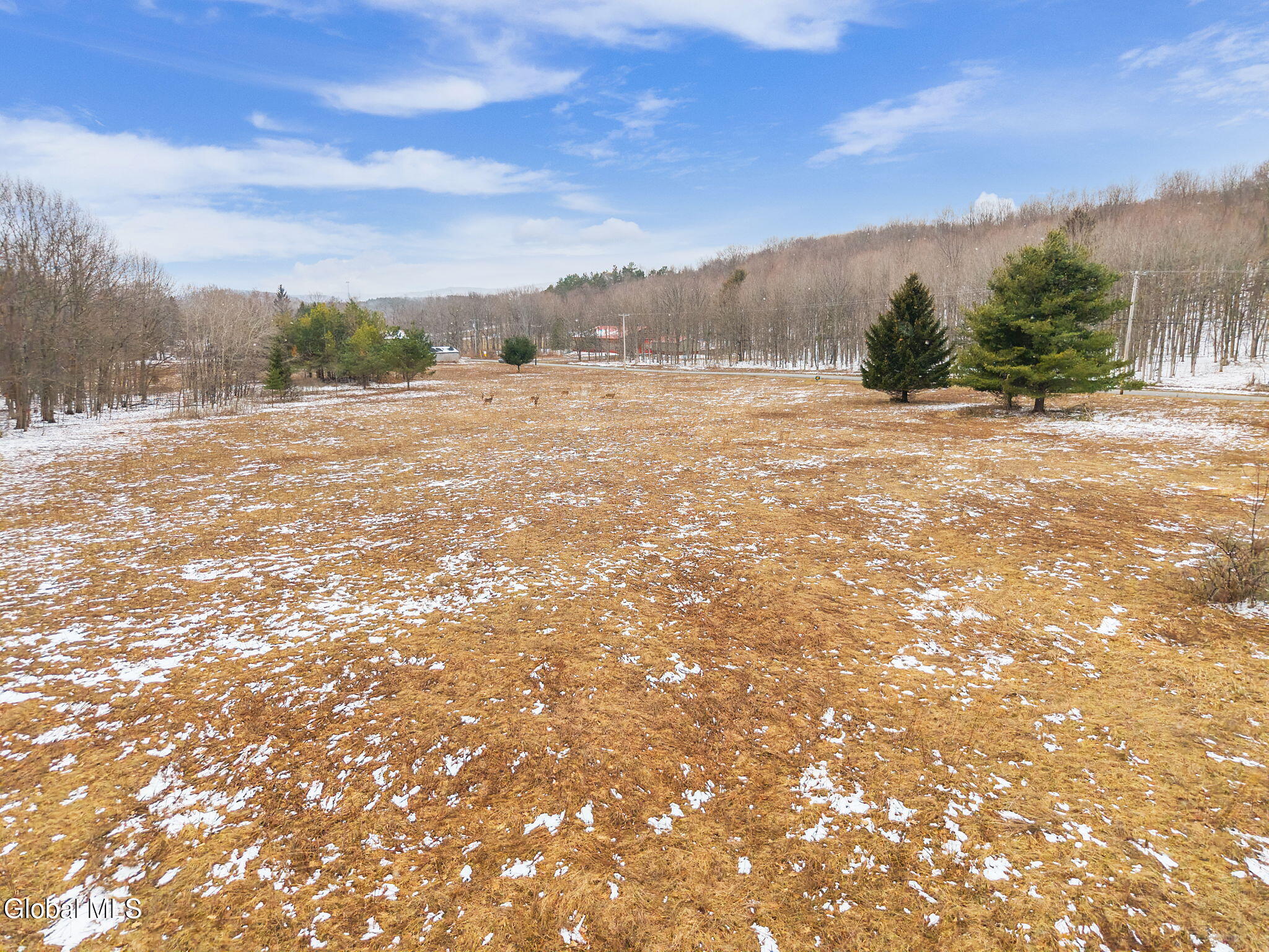 184 Beechwood Road Sharon Springs, NY 13459 - Photo 17 of 24 17-184BeechwoodRd_17