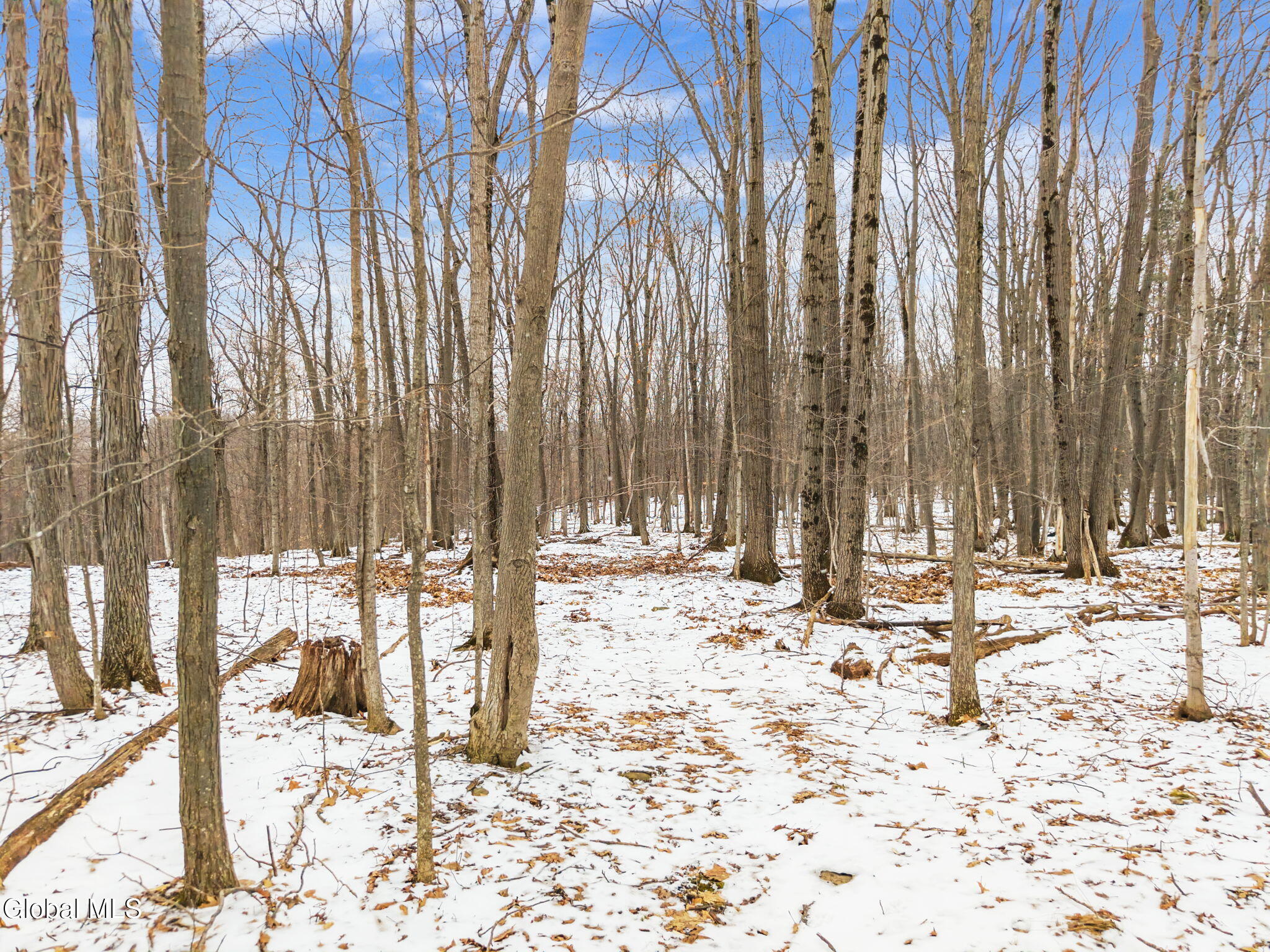 184 Beechwood Road Sharon Springs, NY 13459 - Photo 18 of 24 18-184BeechwoodRd_18