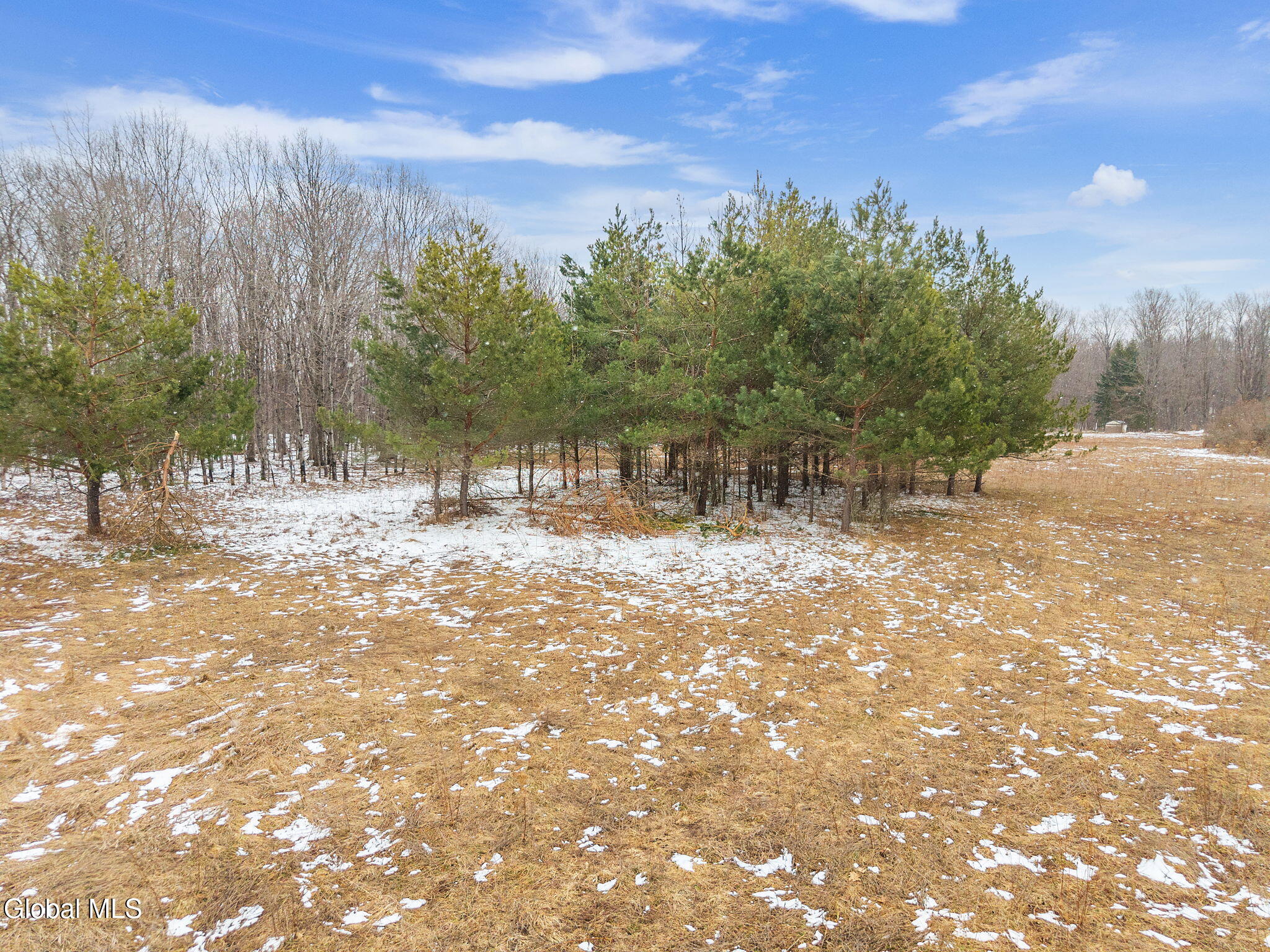 184 Beechwood Road Sharon Springs, NY 13459 - Photo 19 of 24 19-184BeechwoodRd_19