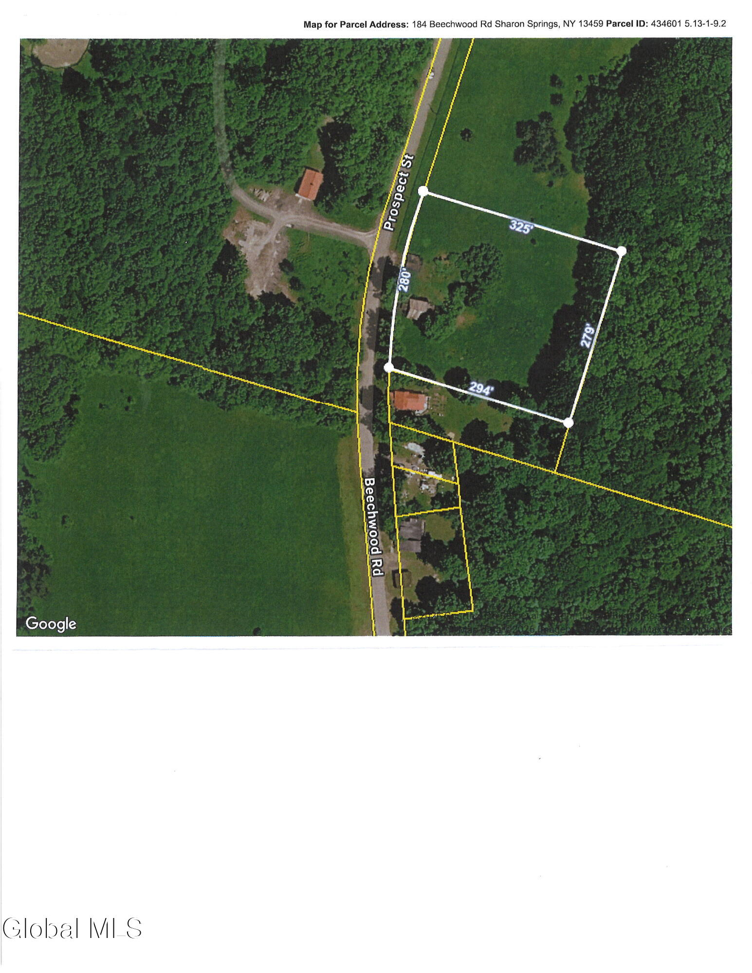 184 Beechwood Road Sharon Springs, NY 13459 - Photo 23 of 24 20260325150751_00001