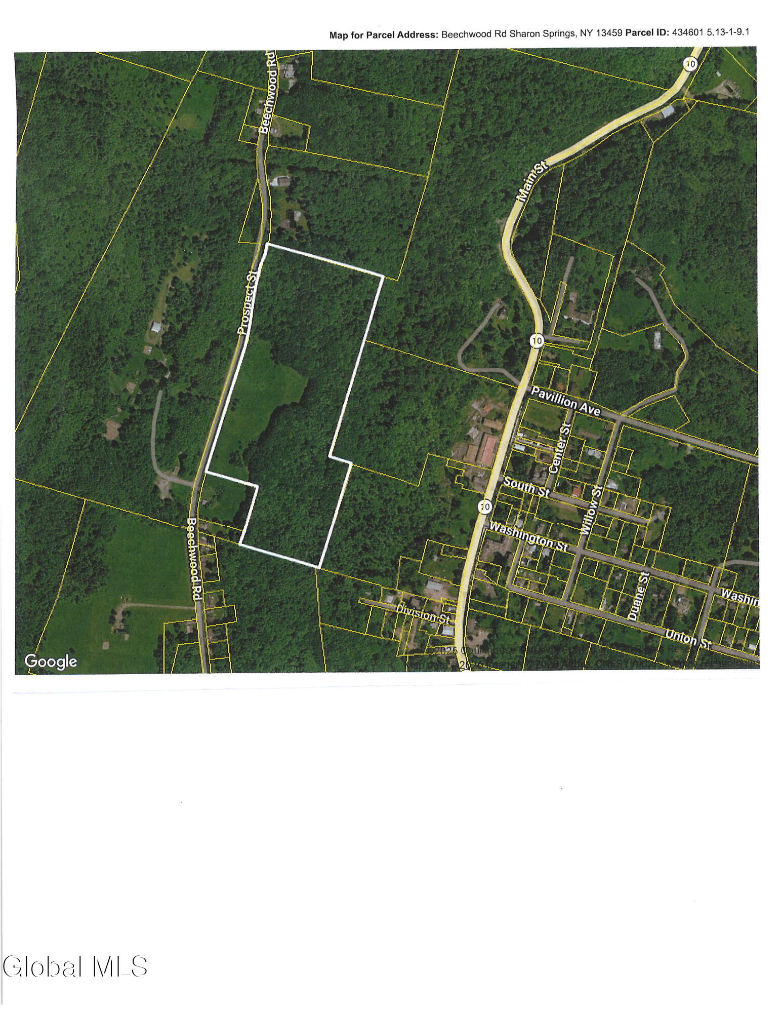 184 Beechwood Road Sharon Springs, NY 13459 - Photo 24 of 24 20260325152825_00002