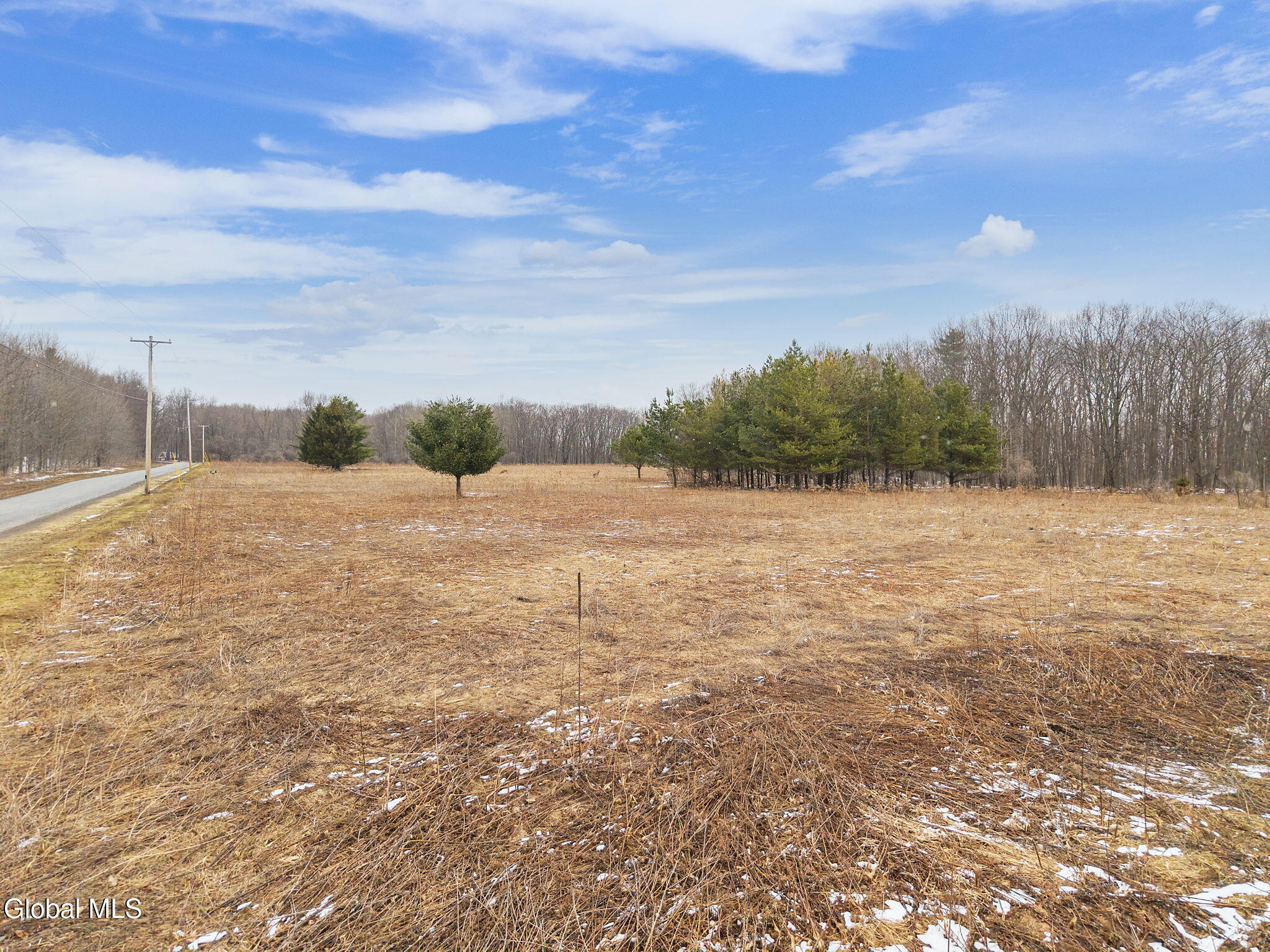 184 Beechwood Road Sharon Springs, NY 13459 - Photo 9 of 24 9-184BeechwoodRd_09
