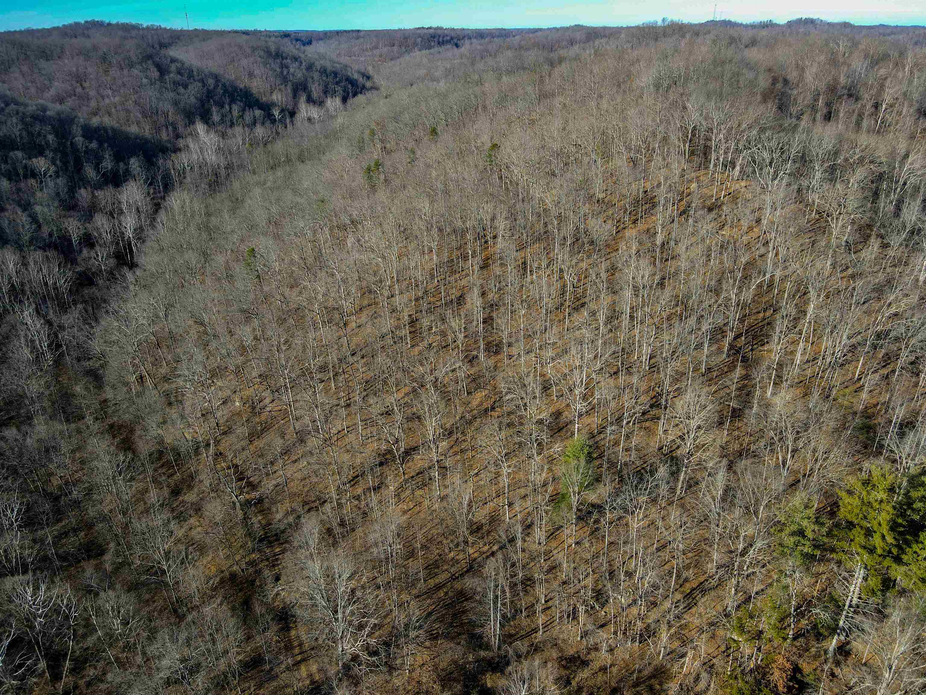 0 Dixie Road Grayson, KY 41143 - Photo 4 of 11 Gallery Image 4
