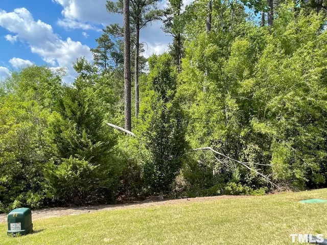 a view of yard with large trees