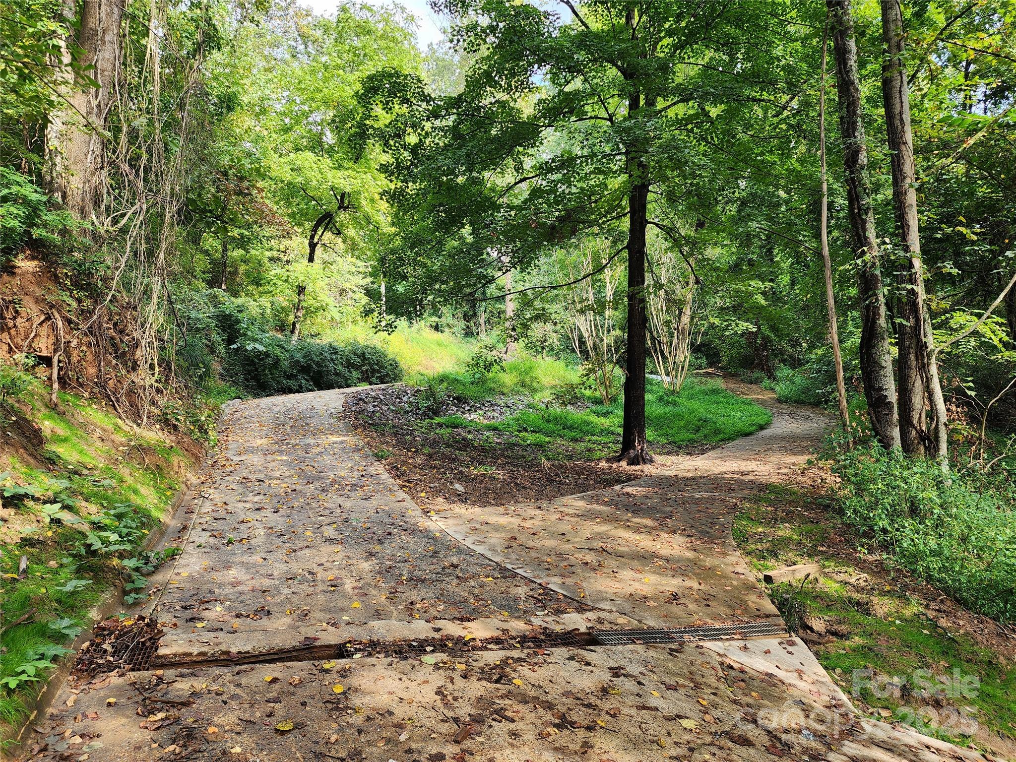 a view of a road with plants and large trees