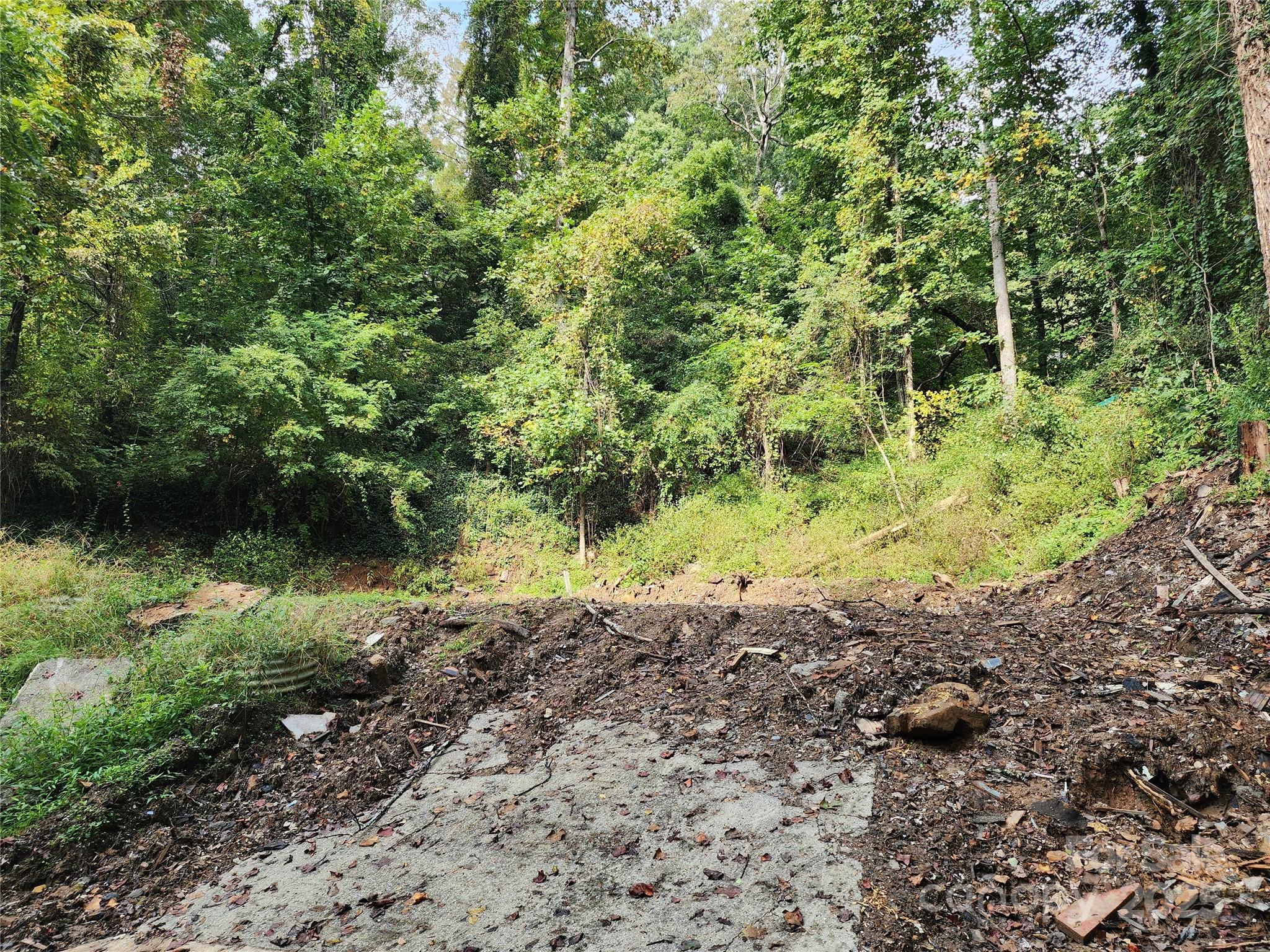 9999 Azalea Court, Unit 3 4 6 Arden, NC 28704 - Photo 2 of 8 a view of a yard with plants and large trees