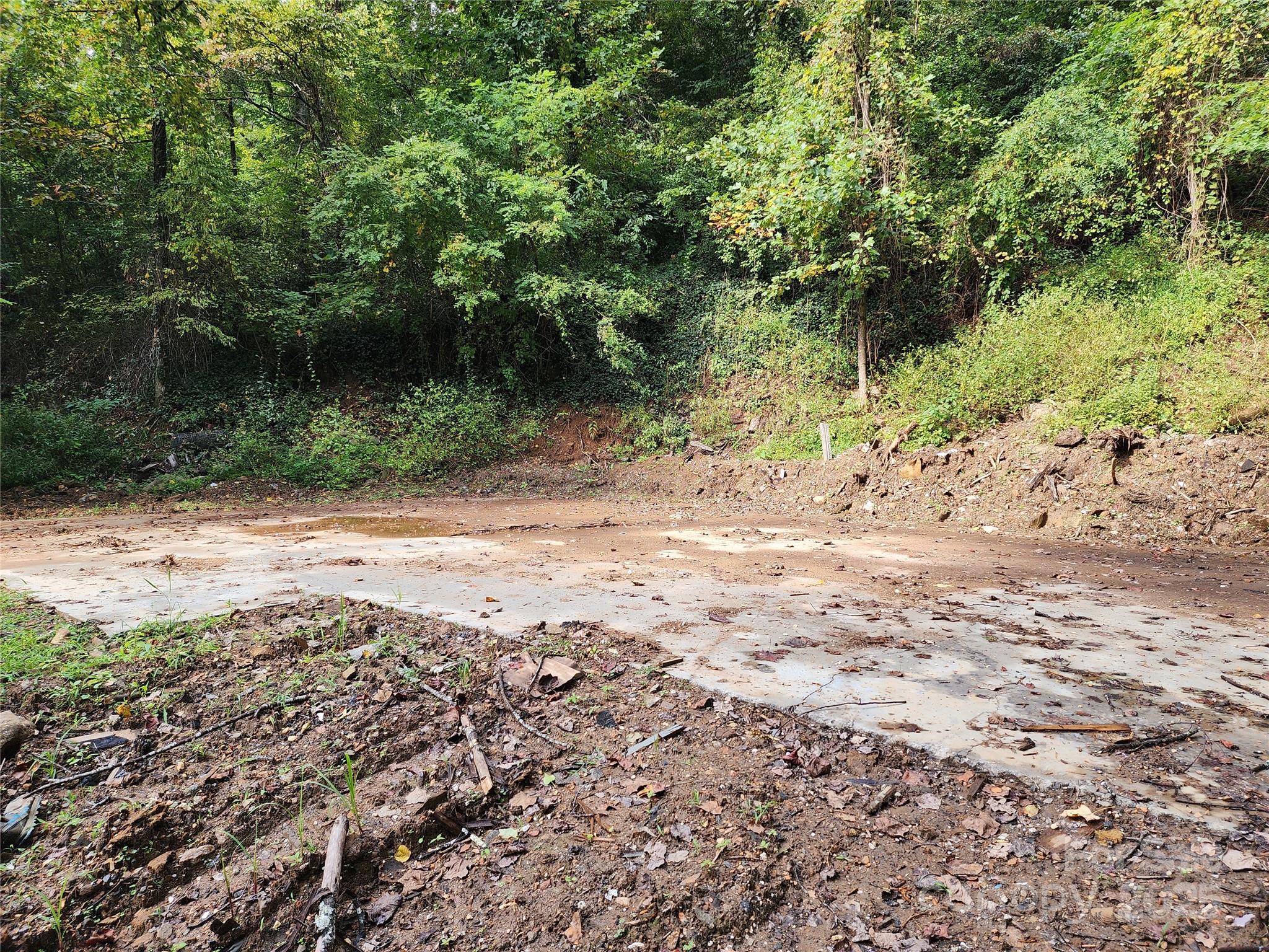 9999 Azalea Court, Unit 3 4 6 Arden, NC 28704 - Photo 3 of 8 a view of a yard with plants and trees
