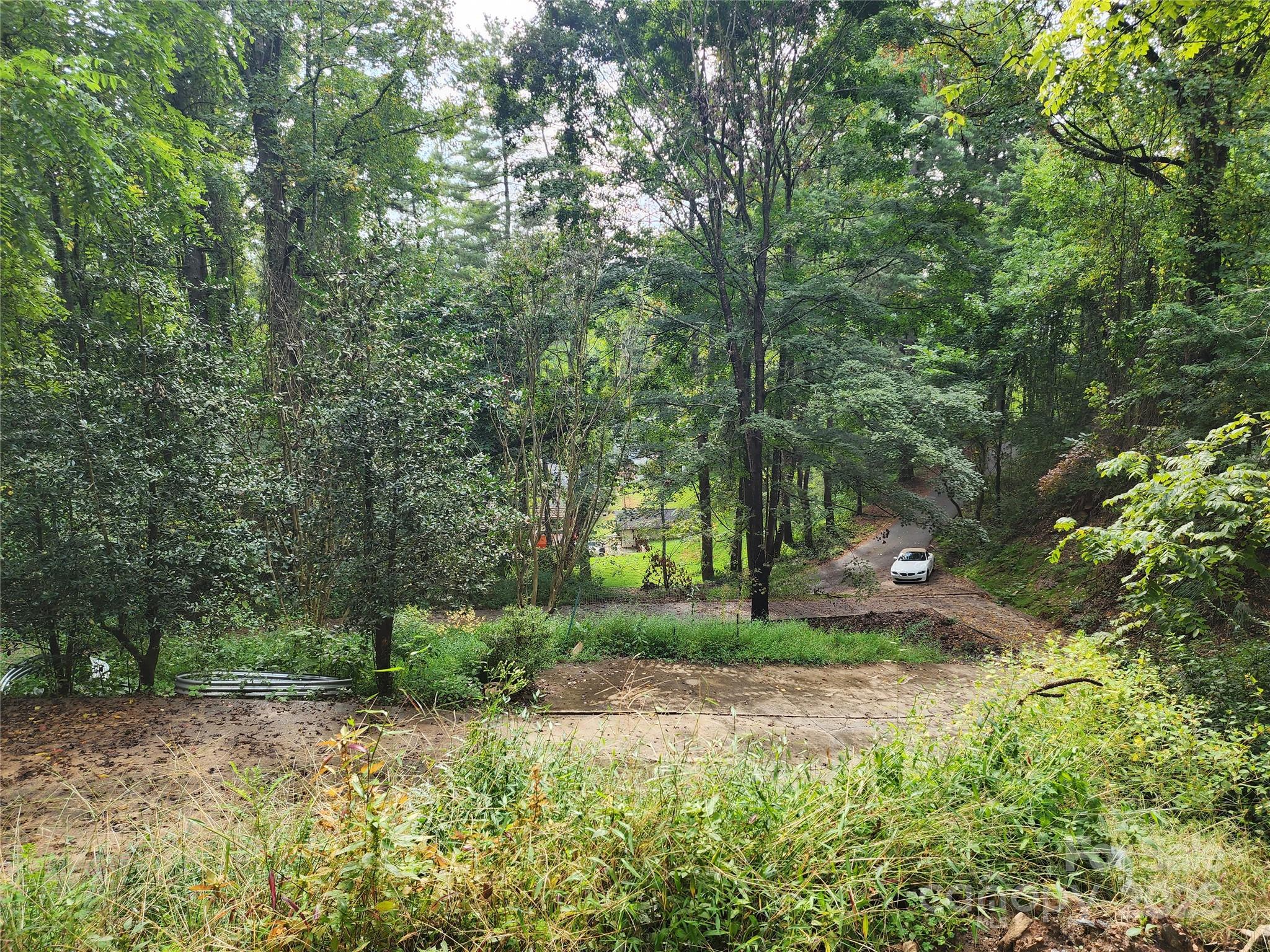 9999 Azalea Court, Unit 3 4 6 Arden, NC 28704 - Photo 4 of 8 a view of a tree in a garden