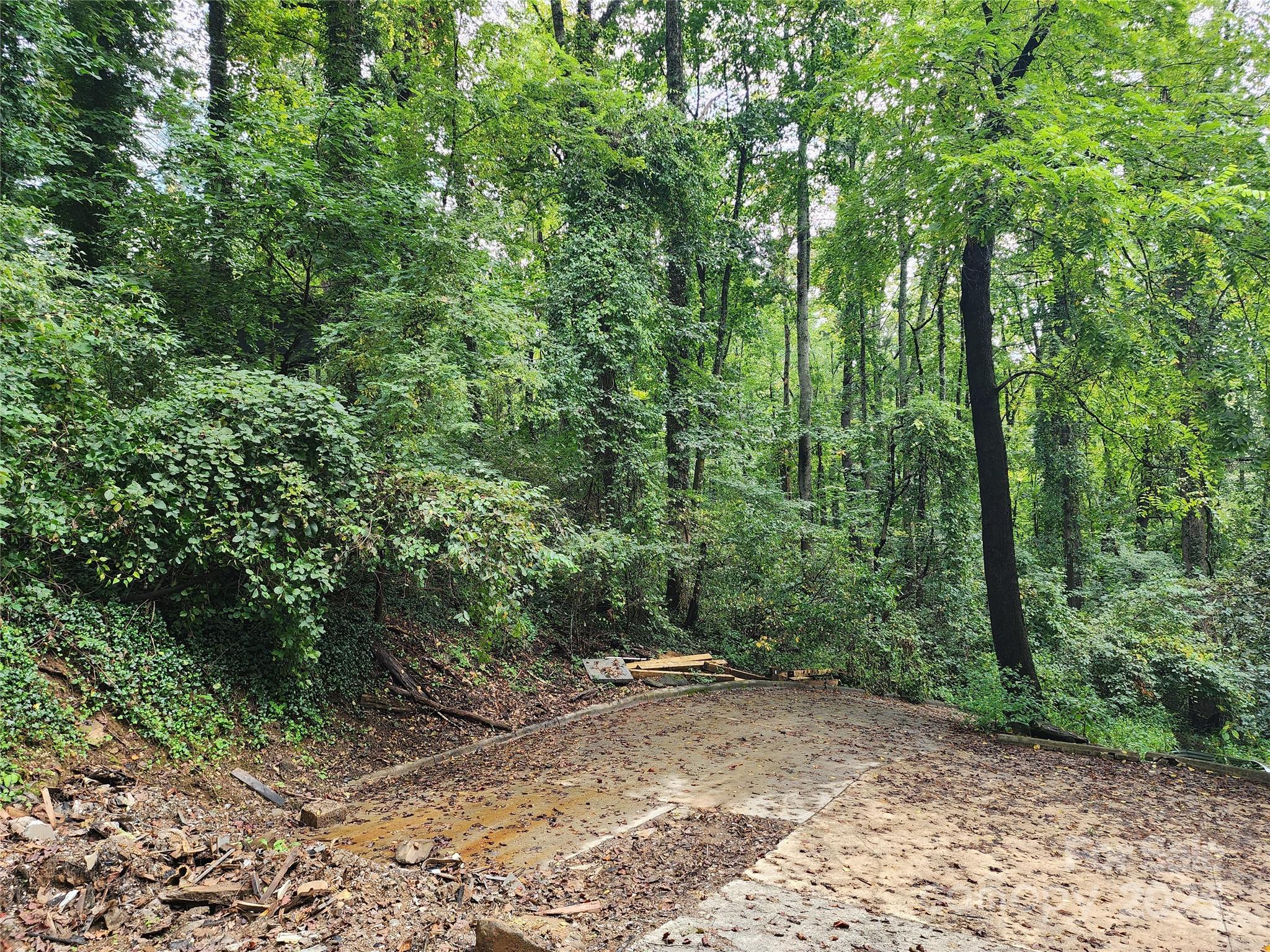 9999 Azalea Court, Unit 3 4 6 Arden, NC 28704 - Photo 6 of 8 a view of a forest with trees in the background