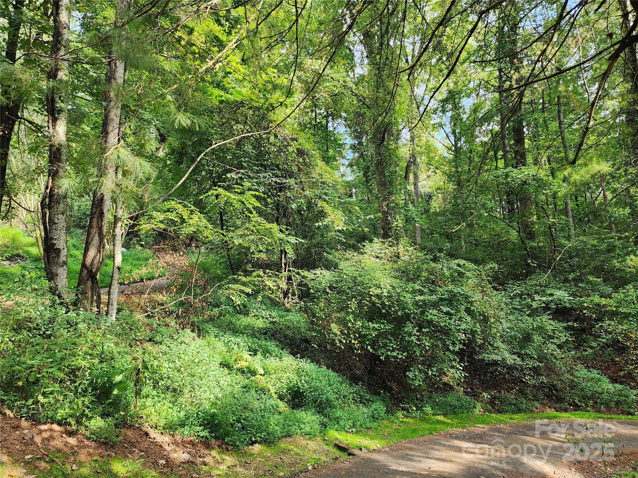 9999 Azalea Court, Unit 3 4 6 Arden, NC 28704 - Photo 8 of 8 a view of a lush green forest with lots of trees