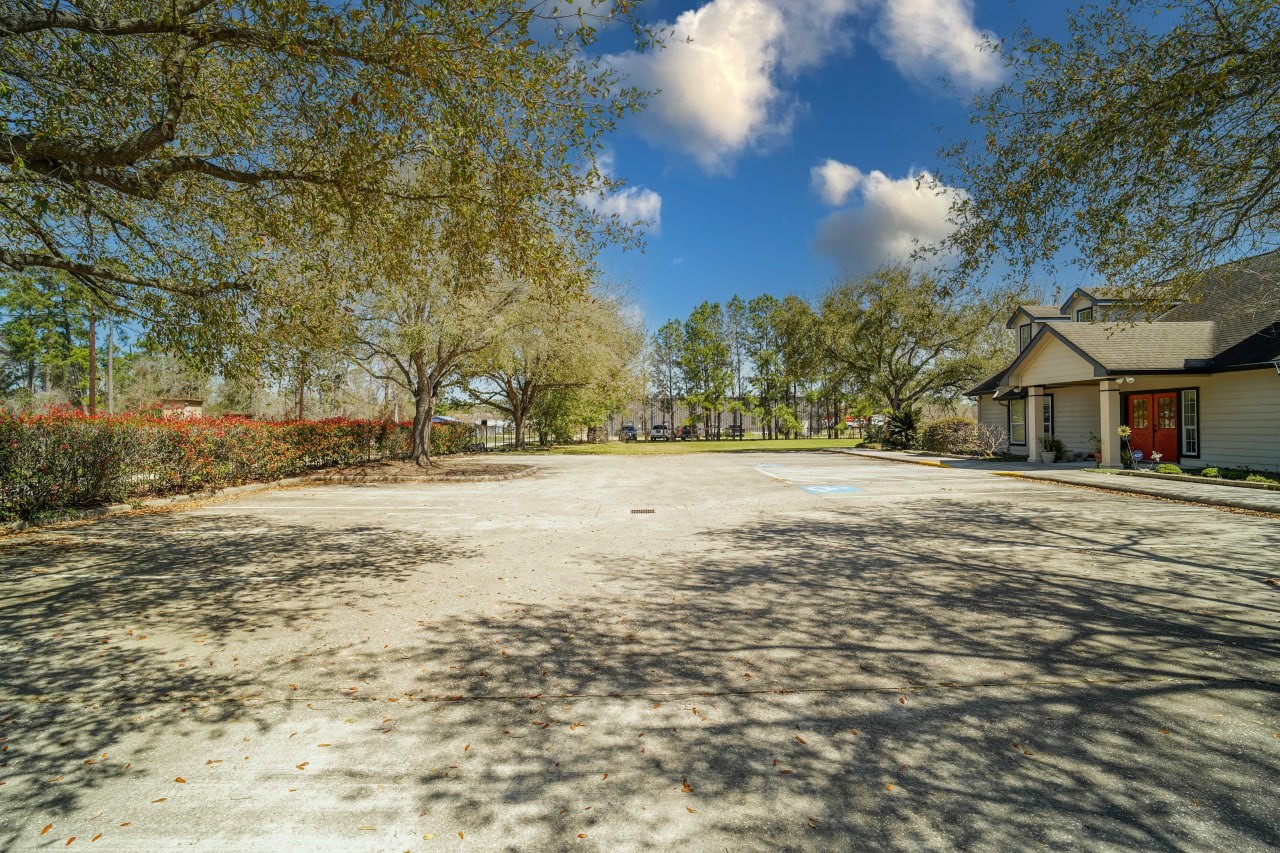 12682 Shiloh Church Road Houston, TX 77066 - Photo 17 of 25 a road view with large trees