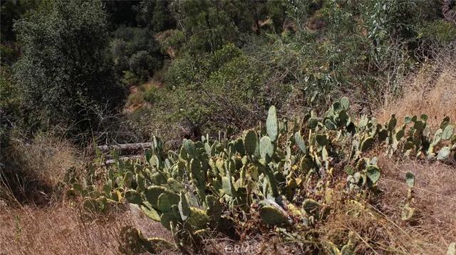 a view of a house with a mountain and a forest