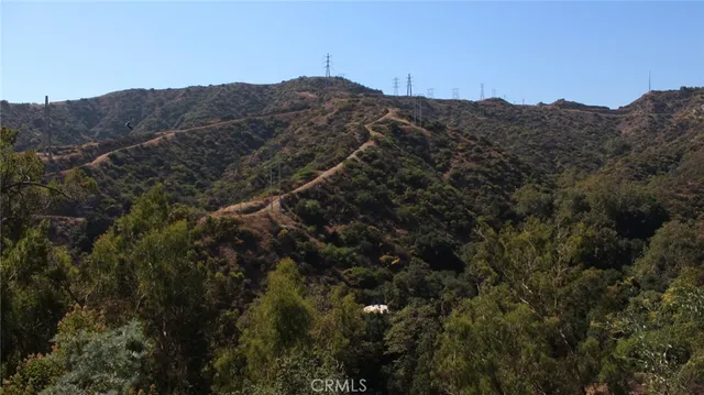 a view of a yard with trees