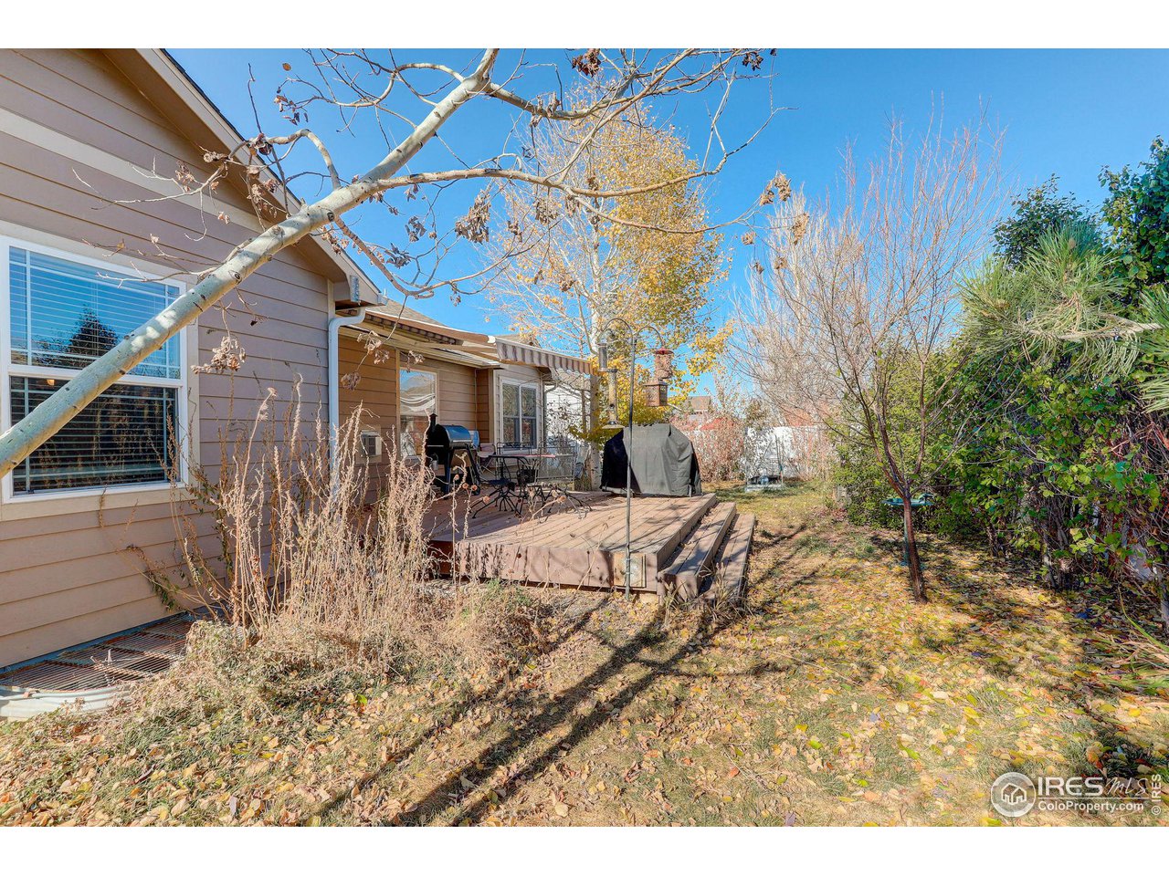 6848 McClellan Road Wellington, CO 80549 - Photo 14 of 15 Backyard with Deck and Retractable Awning
