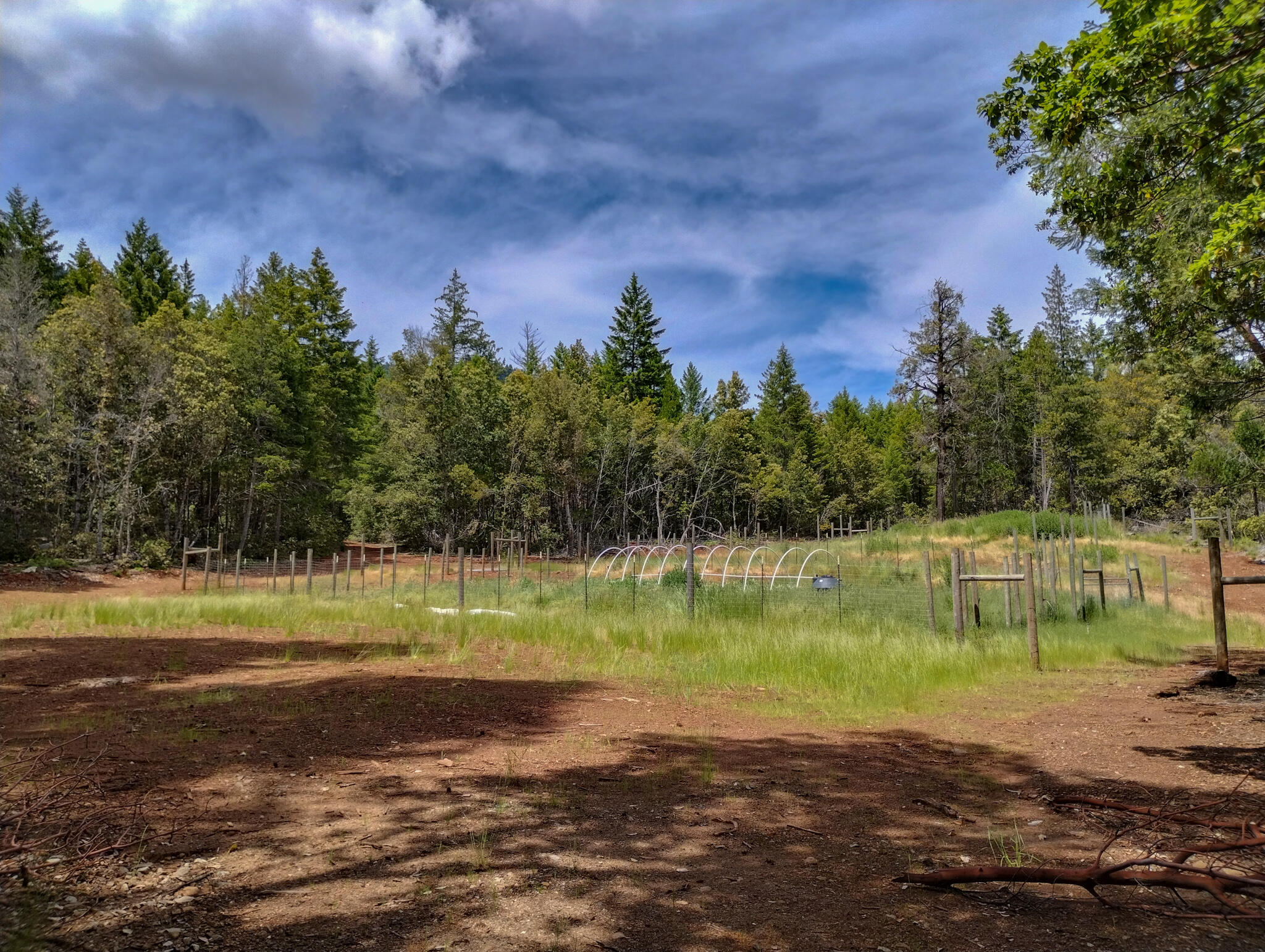 45 Acres M&w Ranch Road Willow Creek, CA 95573 - Photo 33 of 58 Ph (57)