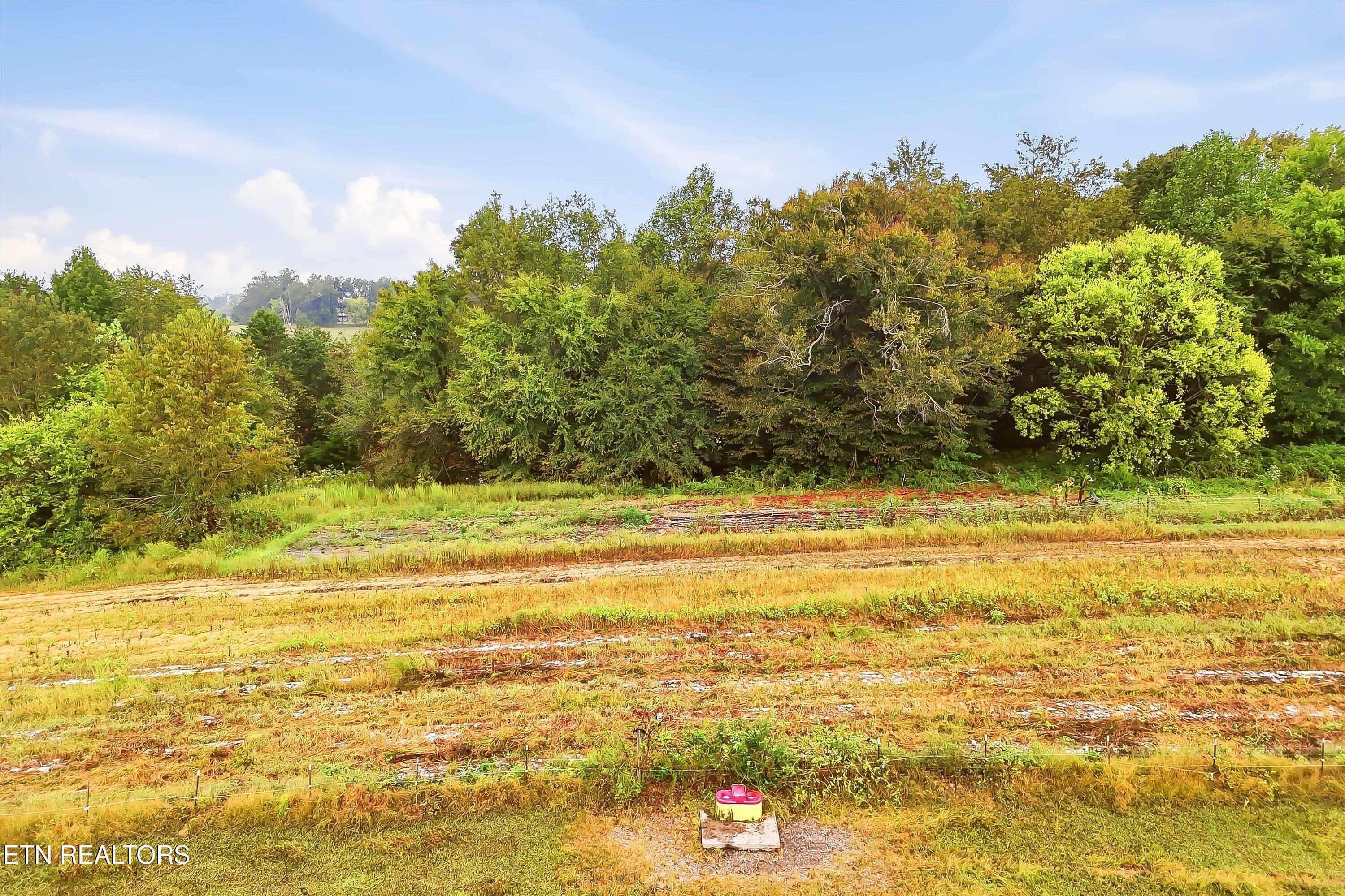 4235 Cave Mill Road Maryville, TN 37804 - Photo 2 of 14 13-FINAL-13