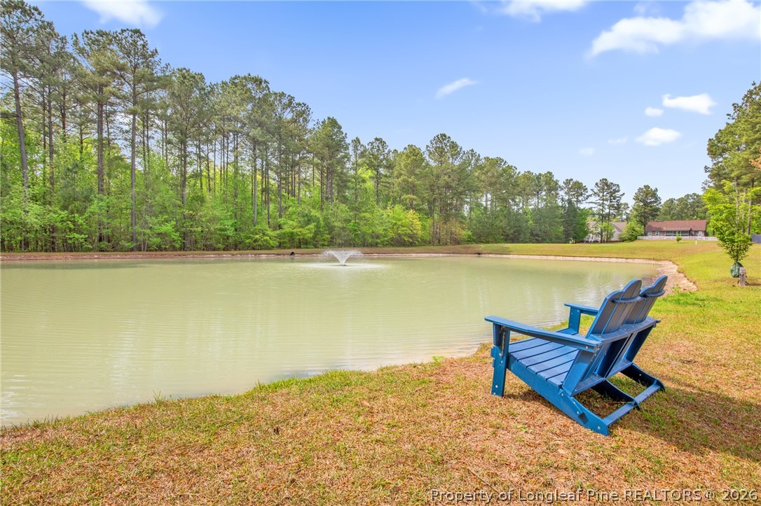 195 Falling Water Road Spring Lake, NC 28390 - Photo 40 of 47