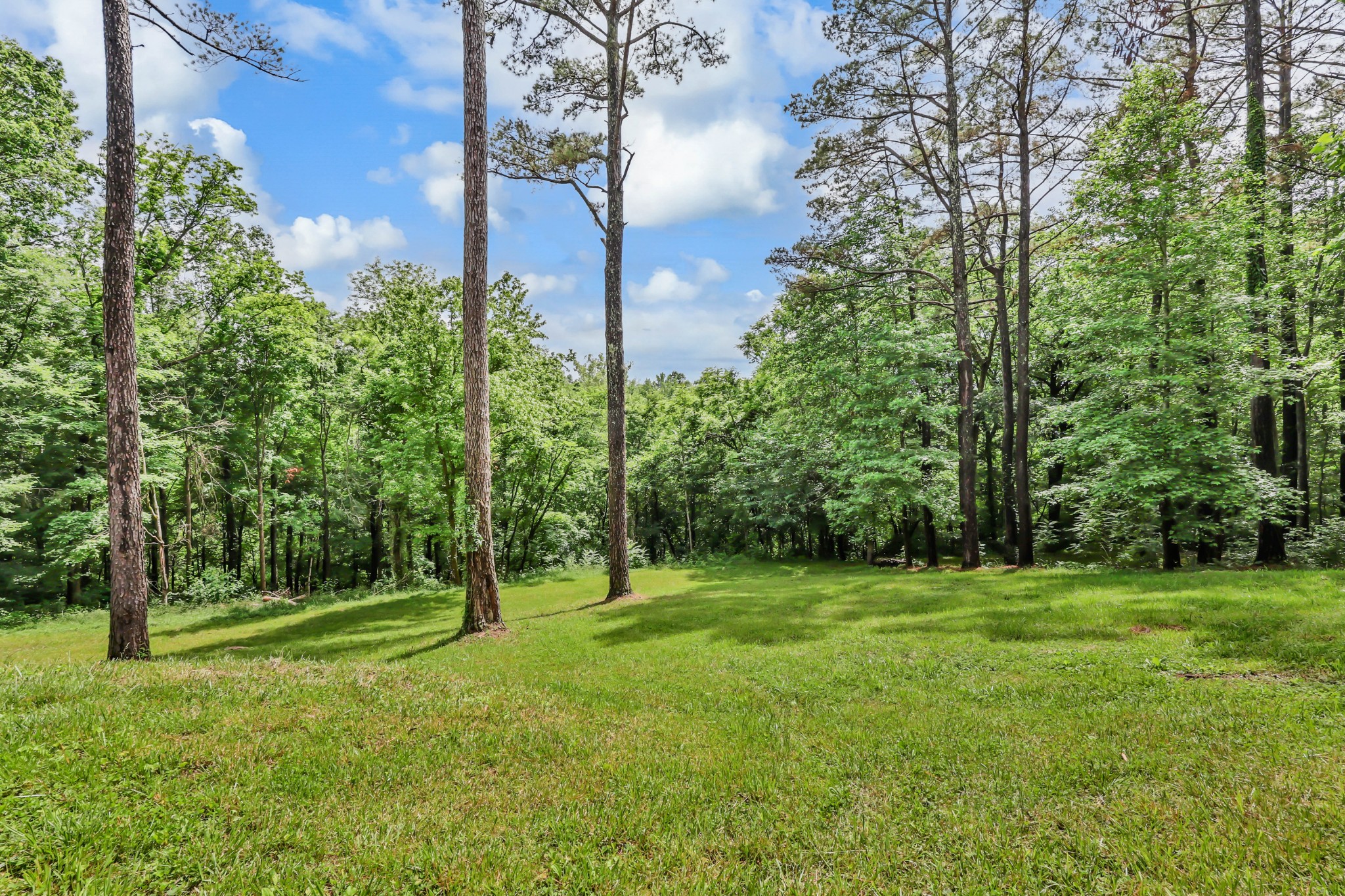1386 Justice Road Ashland City, TN 37015 - Photo 74 of 74