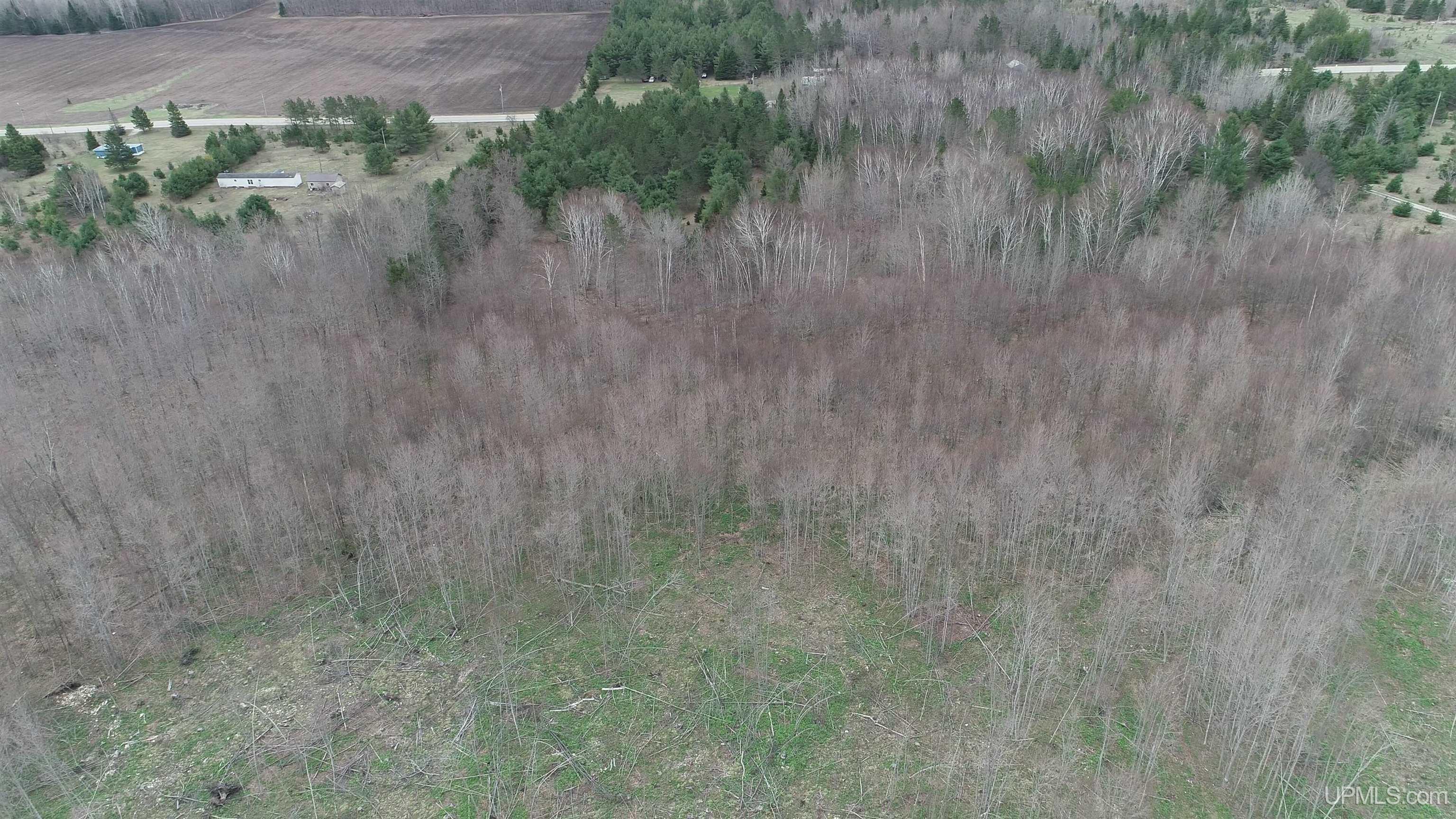 East 20 Quarry Road Gulliver, MI 49840 - Photo 34 of 47