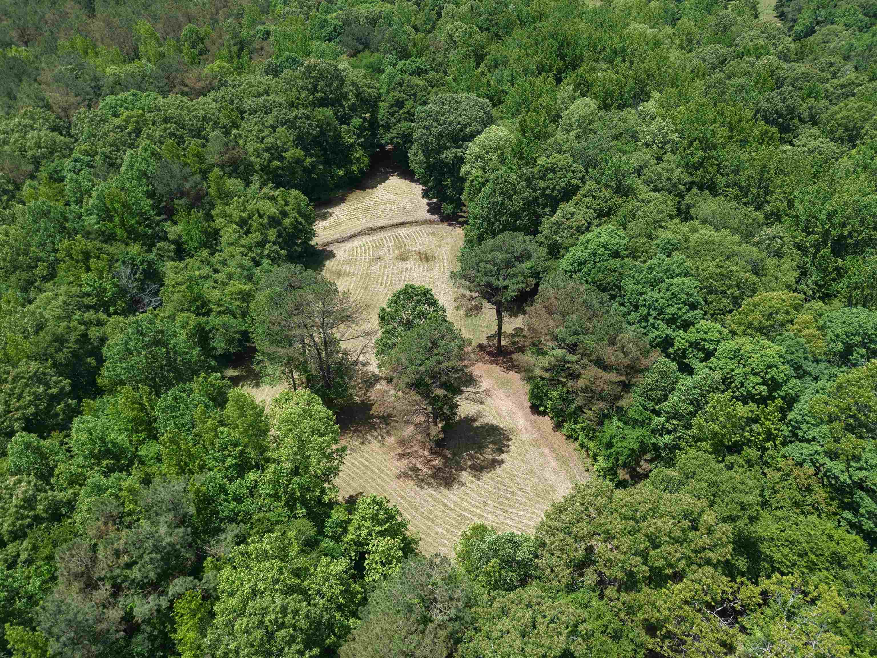 3360 Ebenezer Road Toone, TN 38381 - Photo 17 of 40