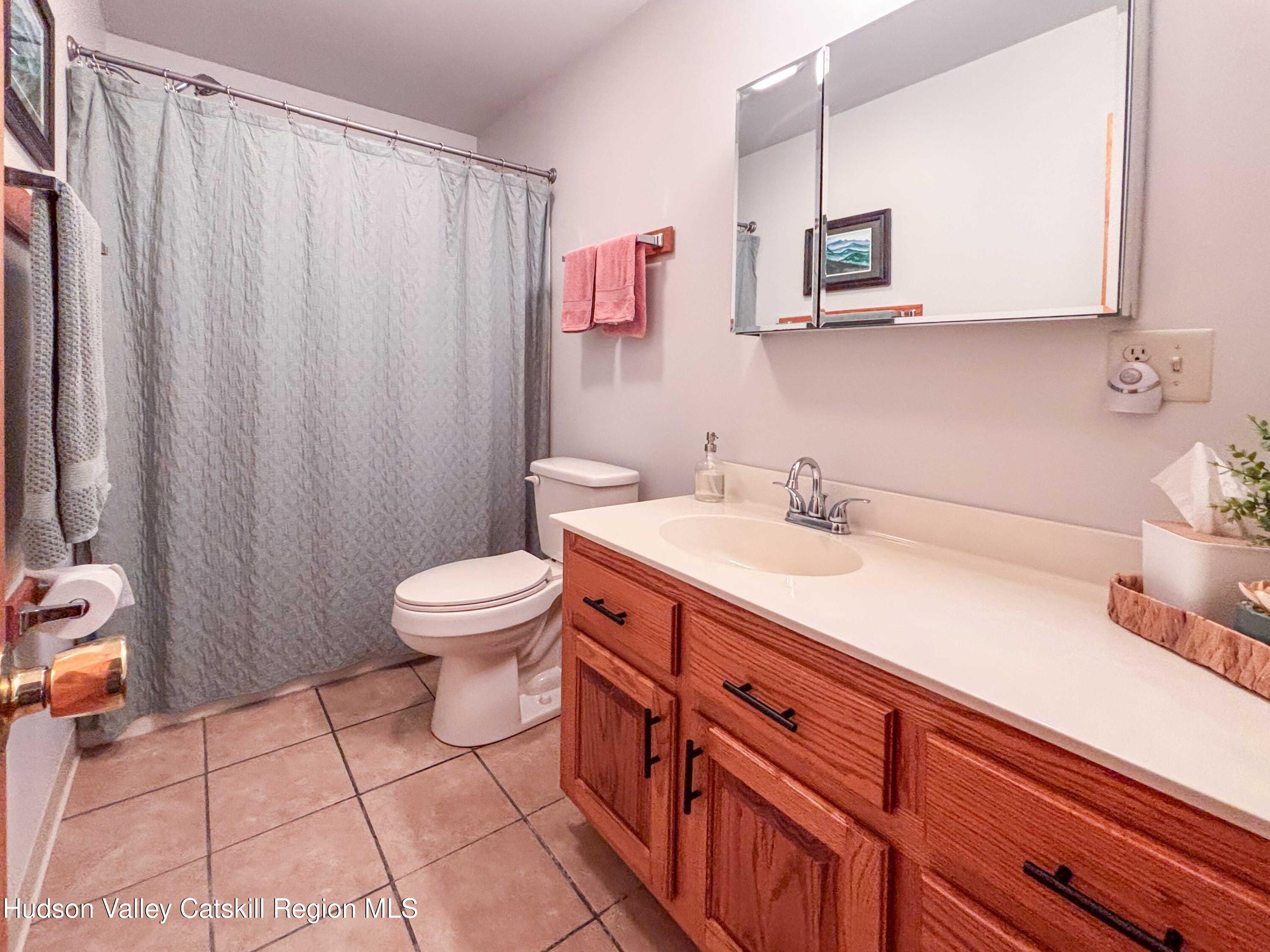 736 Plattekill Road Freehold, NY 12431 - Photo 40 of 47 a bathroom with a sink a toilet and a mirror