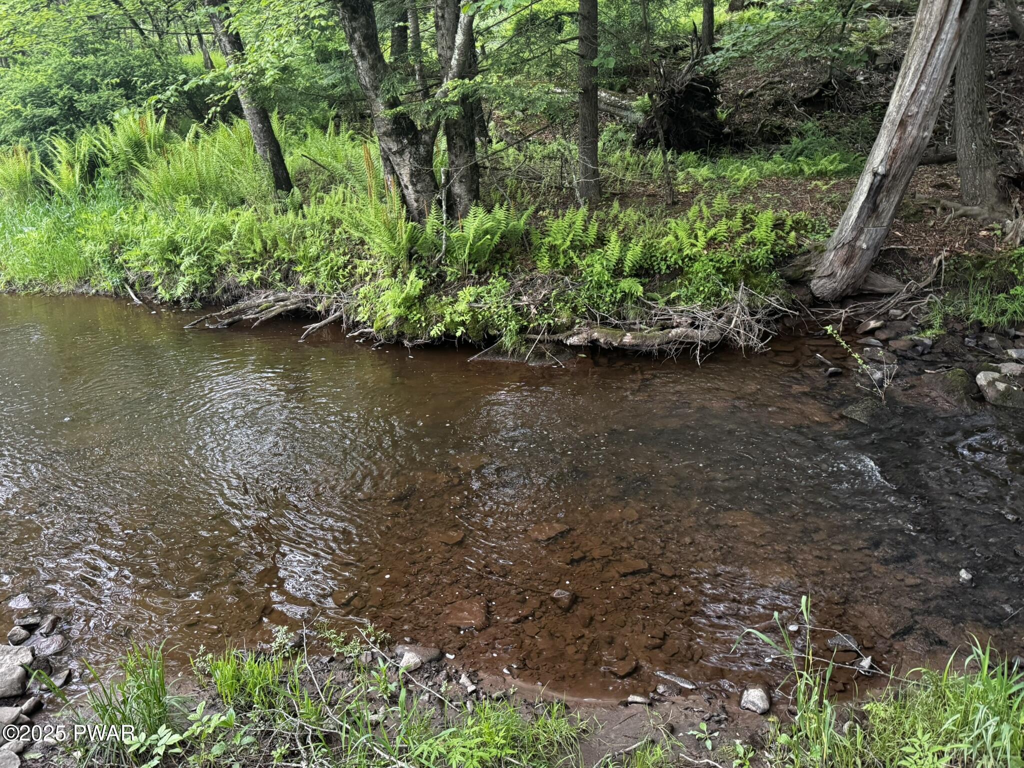262 Plank Road Beach Lake, PA 18405 - Photo 30 of 45 Stream