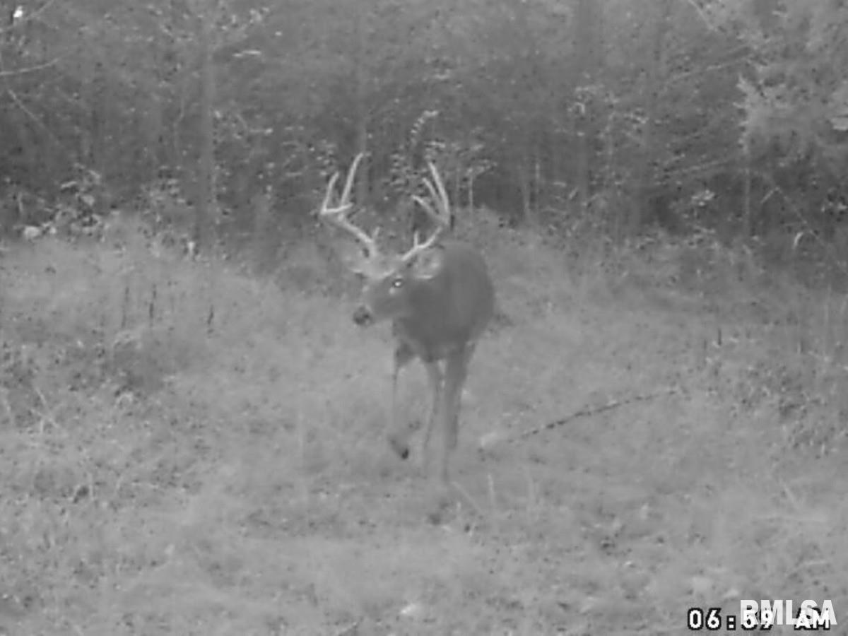 0 Tom Dick Hill Road Stonefort, IL 62987 - Photo 44 of 62