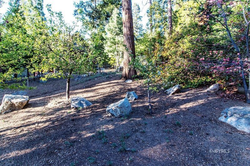 25020 Rim Rock Road Idyllwild, CA 92549 - Photo 32 of 34 a view of a park with large trees