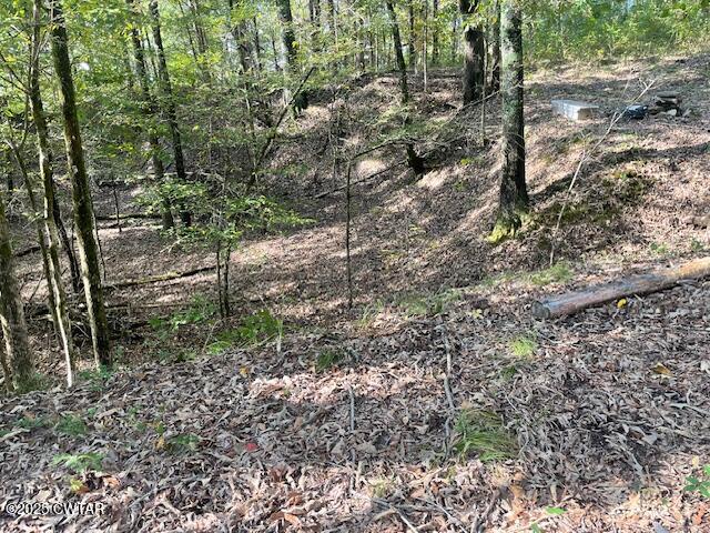 105 Booth Road Trenton, TN 38382 - Photo 12 of 21 a backyard of a house with lots of green space
