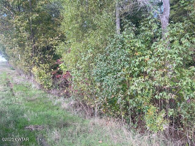 105 Booth Road Trenton, TN 38382 - Photo 15 of 21 a view of a lush green forest