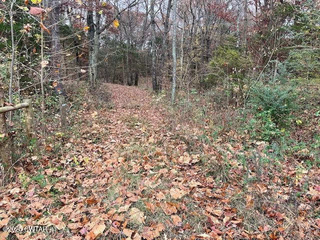 105 Booth Road Trenton, TN 38382 - Photo 18 of 21 a view of a yard with a tree