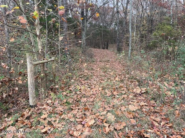 105 Booth Road Trenton, TN 38382 - Photo 19 of 21 a backyard of a house with lots of green space